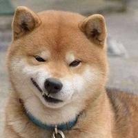 成熟晚风4D0头像