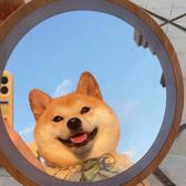 丨哈哈哈哈哈丨头像