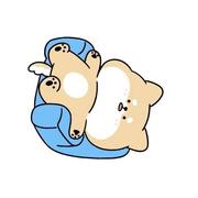 make9527的个人资料头像