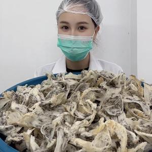 宇燕行印尼燕窝头像
