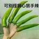 狂人写日记头像