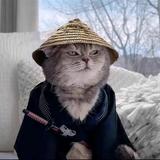 用户8060631853616头像