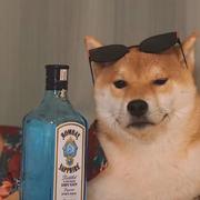 夜航猩的个人资料头像