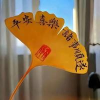 用户7386537516598头像