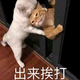 小通 · 瑞虎8车主·车龄1年头像