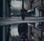 嗣音441的个人资料头像