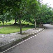 ws的个人资料头像