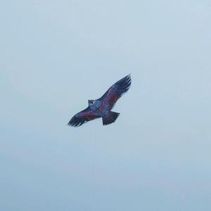 沉浮乡土头像