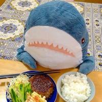 考拉追击者头像