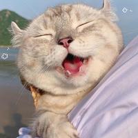 高冷拽哥632头像