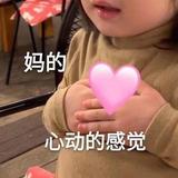 āáǎà533头像