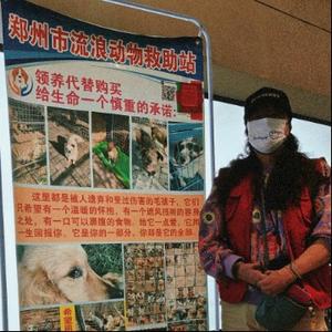 郑州流浪动物救助站头像