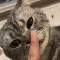 用户4911824862823头像