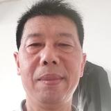 剑胆琴心DWwz头像