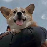 Laymanྉ俗人555头像