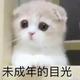 大圈圈头像