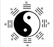 agilawood的个人资料头像