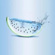 ArchLL的个人资料头像