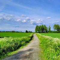 执着的书签gfw头像