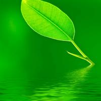 好人一生平安8006069808111头像