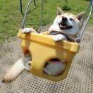 壹月同学的个人资料头像