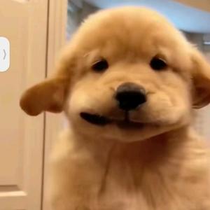 番茄1614559876227987头像