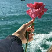 Zero18的个人资料头像