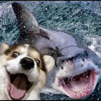 用户3337946157538头像