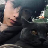 藤原拓海6948头像