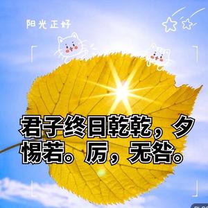 谦谦匠聊易经象数理头像