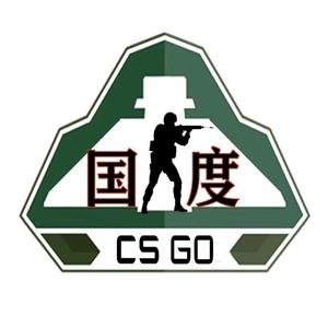 CSGO国度头像