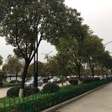 user1251560551528头像
