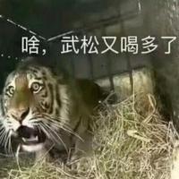 强强的蛋蛋头像