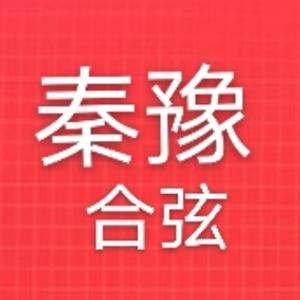 秦豫合弦头像