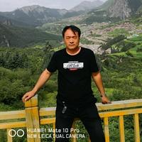 上进的海燕Qt头像