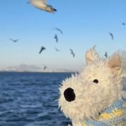 用户1115139048433的个人资料头像