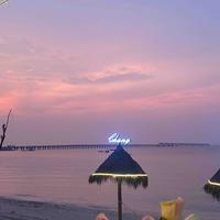 不换旅人30头像