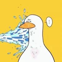 躺倒鸭033头像