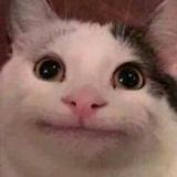 自强不息Naruto头像