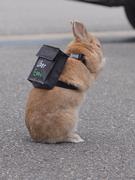 Uris的个人资料头像