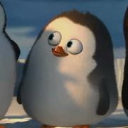 Explorer747的个人资料头像