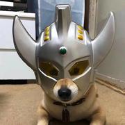 kuroko的个人资料头像