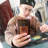 大灰哈灰头像