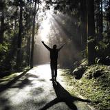 机智的车轮头像