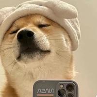 糖糖爱讲鬼故事头像