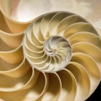 用户6681556653058头像