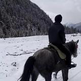 山河MDO头像