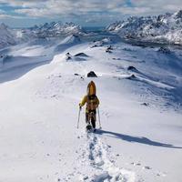 教滑雪的杨老厮头像