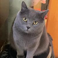 基尼泰美1123头像