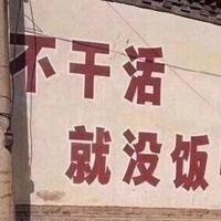 甩手电商大振头像